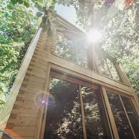Treebox Noszvaj Villa ภายนอก รูปภาพ