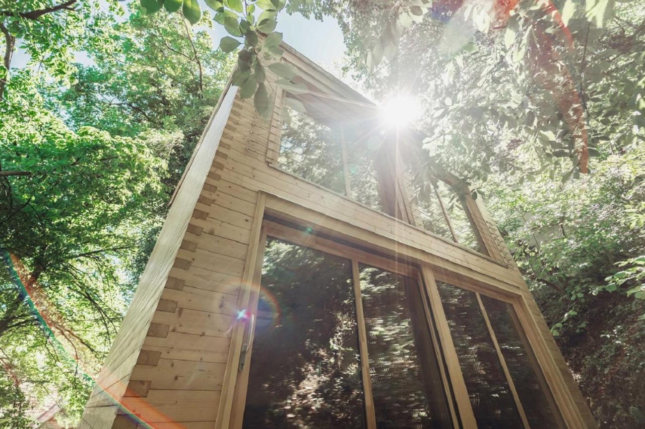 Treebox Noszvaj Villa ภายนอก รูปภาพ