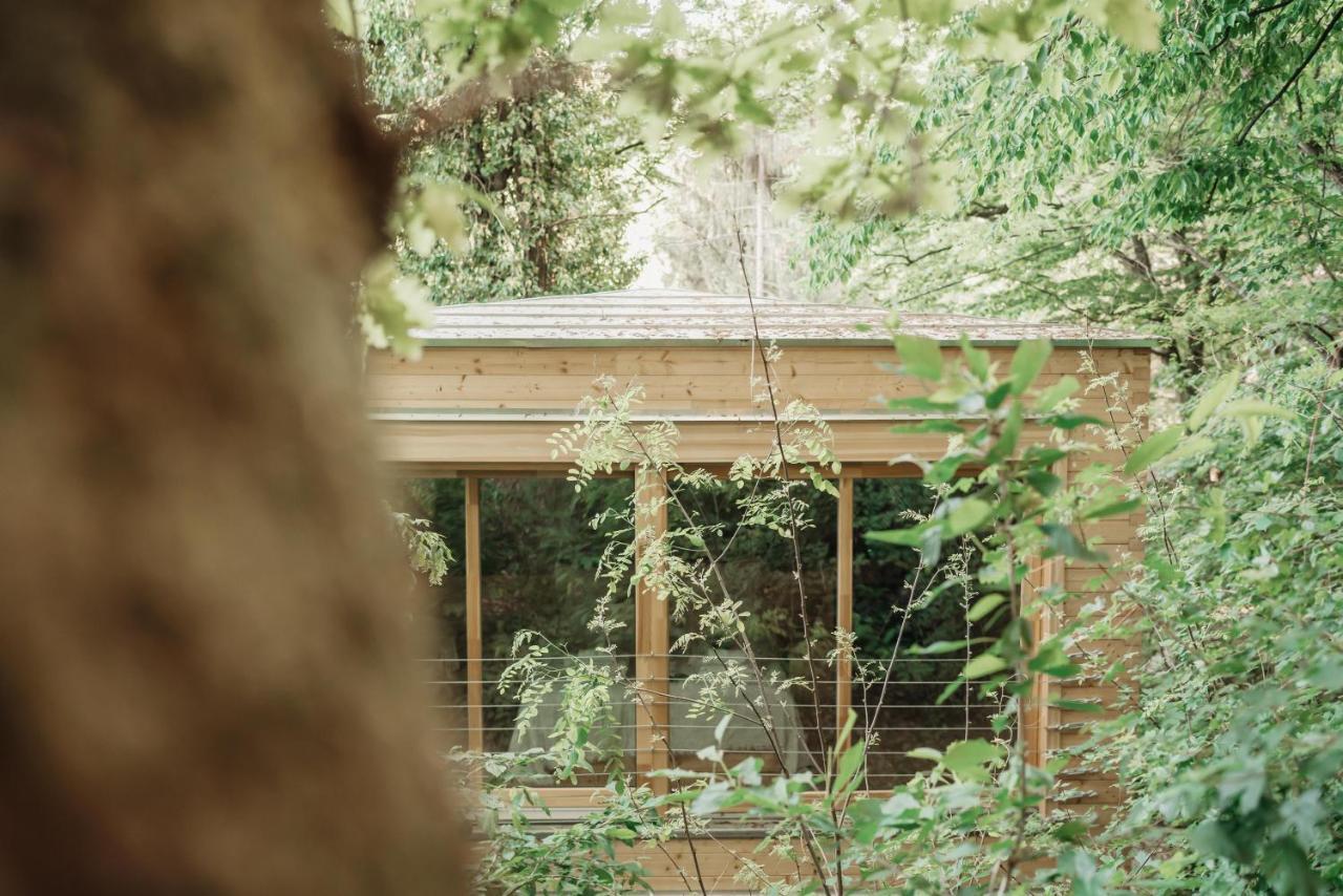 Treebox Noszvaj Villa ภายนอก รูปภาพ
