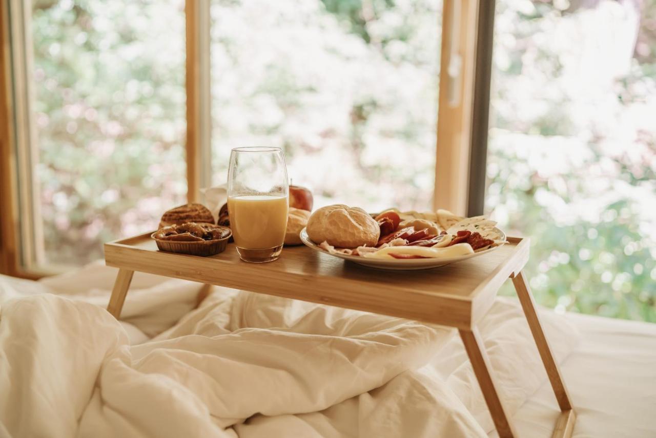 Treebox Noszvaj Villa ภายนอก รูปภาพ